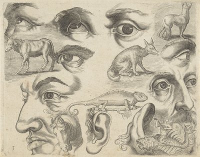Çizim örnekleri içeren çalışma sayfası: gözler, kafalar ve hayvanlar Çizim örnekleri (seri başlığı) by Michael Snijders