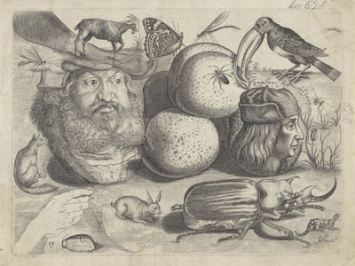 Çizim örnekleri içeren çalışma sayfası: portreler, hayvanlar, böcekler Çizim örnekleri (seri başlığı) by Michael Snijders