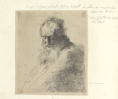 Bust van een oude adam bir araya geldi baard Seksen beş orijinal baskının toplanması (seri başlığı) by Michael Willmann (attributed to)