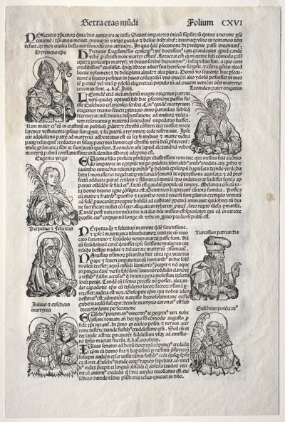 Nürnberg Chronicle, 1493. by Michael Wolgemut