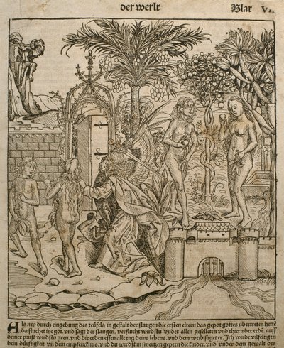 Adem ve Havva, Hartmann Schedel (1440-1514) tarafından Nürnberg