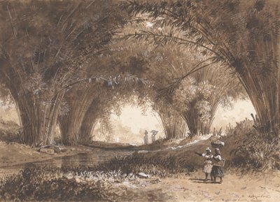 Bambu Kemerler, St. Anns by Michel Jean Cazabon