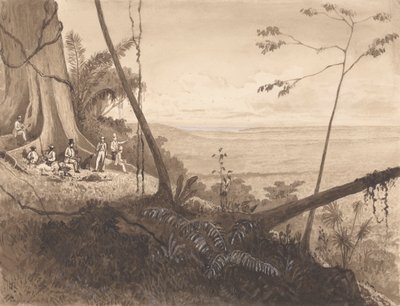 Cedar Point, Tamana Dağı by Michel Jean Cazabon