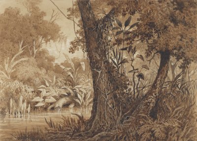 Cimaronero Nehri üzerinde by Michel Jean Cazabon