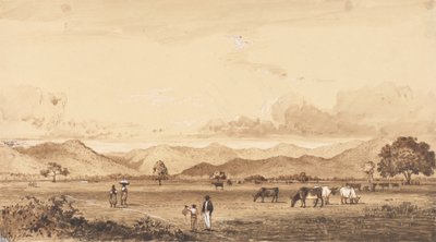 Kraliçe Parkı, İspanya Limanı by Michel Jean Cazabon