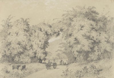 St. Ann'e giden yol by Michel Jean Cazabon