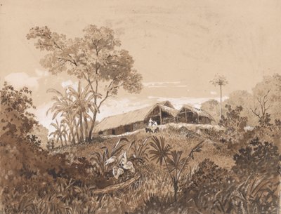 Kulübe, Tamana Dağı by Michel Jean Cazabon