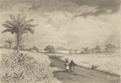 Pitch Gölü'ne Giden Yol by Michel Jean Cazabon