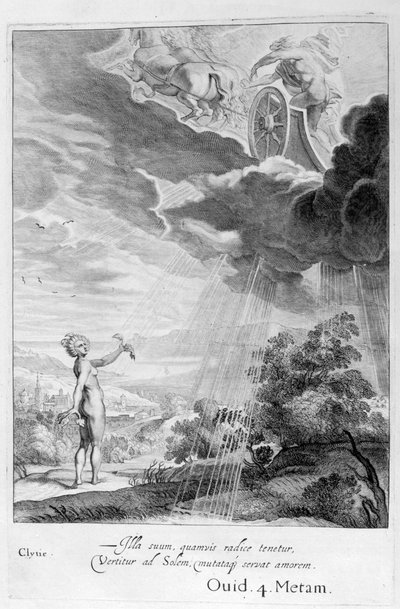 Ayçiçeğine dönüşen Clytie, 1655 by Michel de Marolles