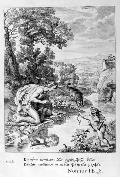 Kendi yansımasına aşık olan Narcissus, 1655 by Michel de Marolles