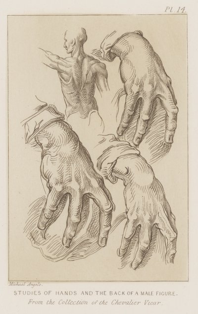 Bir erkek figürünün el ve sırt çalışmaları (gravür) by Michelangelo (after) Buonarroti