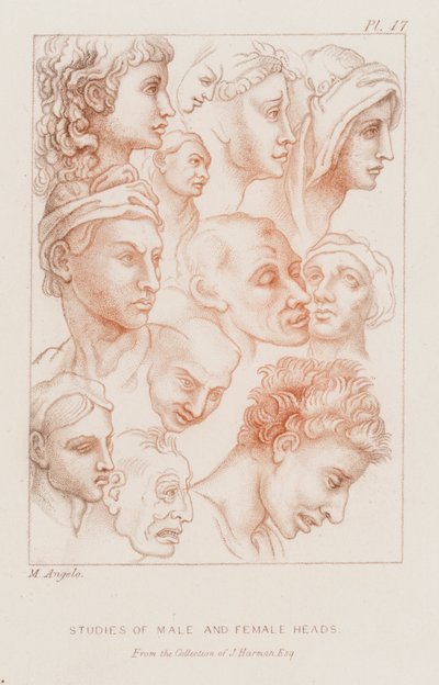 Erkek ve dişi kafa çalışmaları (gravür) by Michelangelo (after) Buonarroti