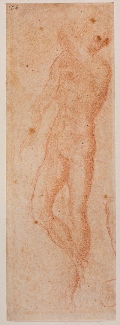  by Michelangelo (after) Buonarroti