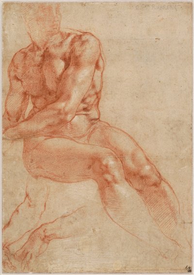  by Michelangelo