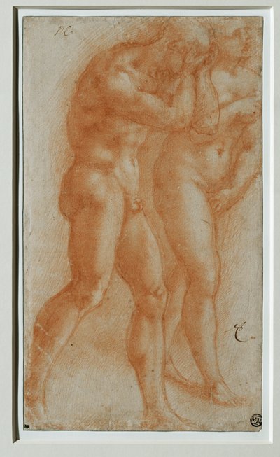  by Michelangelo Buonarroti