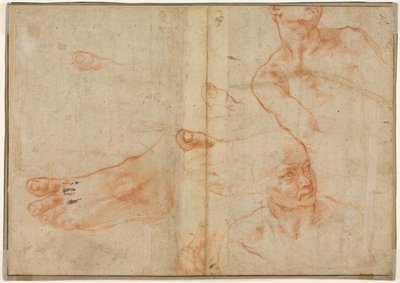 Sistine Tavanı için Figür Çalışmaları (verso) by Michelangelo Buonarroti
