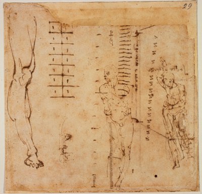  by Michelangelo Buonarroti