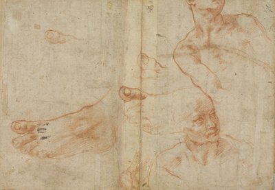 Sistine Tavanı için Figür Çalışmaları by Michelangelo Buonarroti