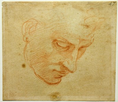Sistine Şapeli tavanının baş etüdü, yaklaşık 1509-1510 by Michelangelo Buonarroti