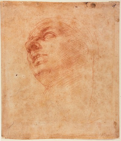 Sistine Jonah için baş çalışma by Michelangelo Buonarroti