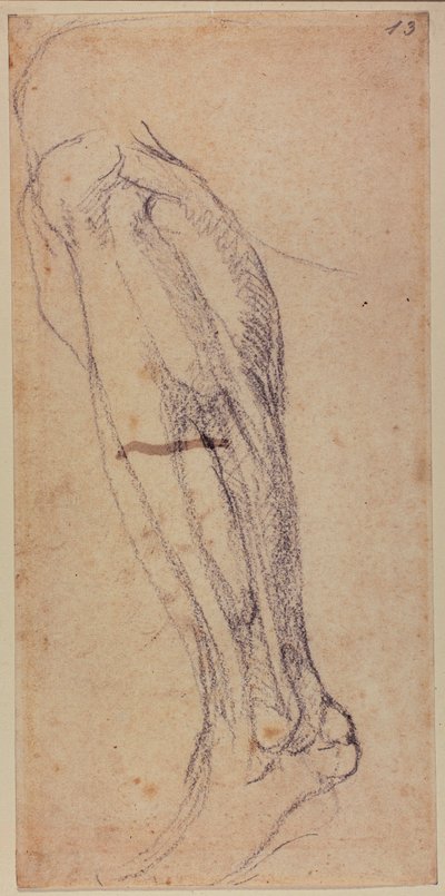 Bacak Çalışması by Michelangelo Buonarroti
