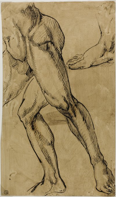 Çıplak Erkek Bacakları ve Ayakları by Michelangelo Buonarroti