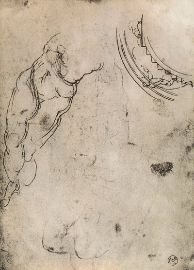 Erkek bacaklar, Michelangelo