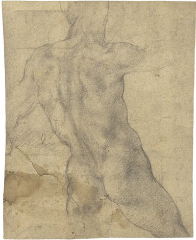 erkek çıplak by Michelangelo Buonarroti