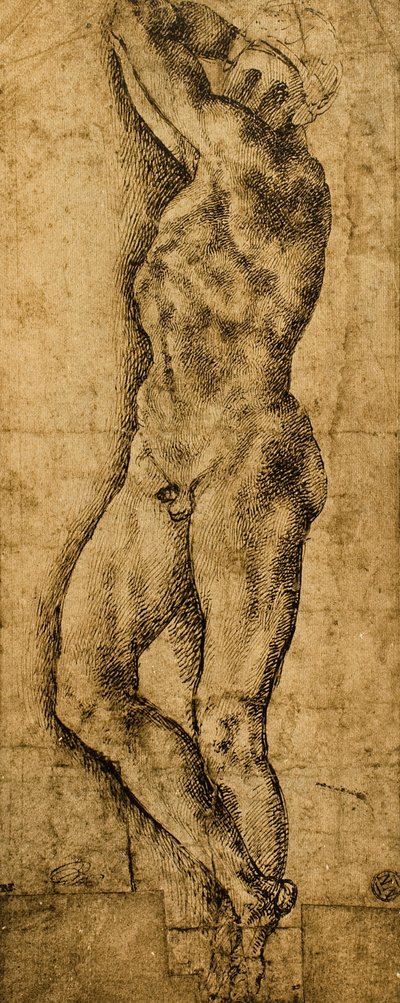 erkek çıplak; Michelangelo
