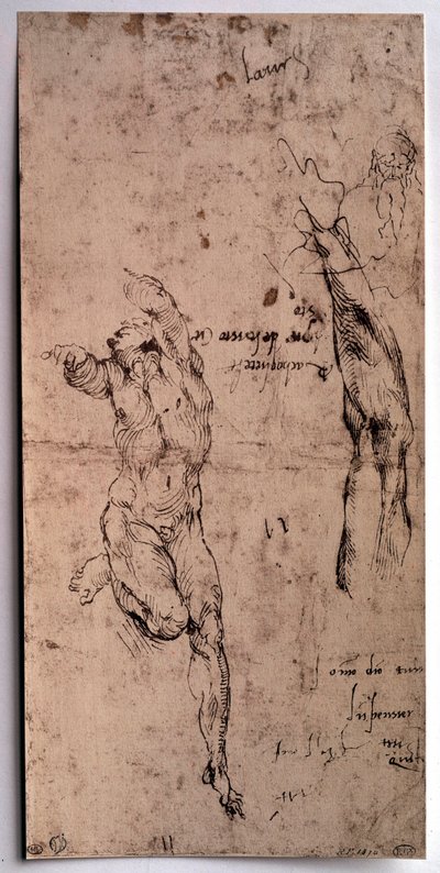 Çıplak adam, kol çalışması Çizim Michelangelo Buonarroti dit Michelangelo (Michelangelo veya Michel Ange) by Michelangelo Buonarroti