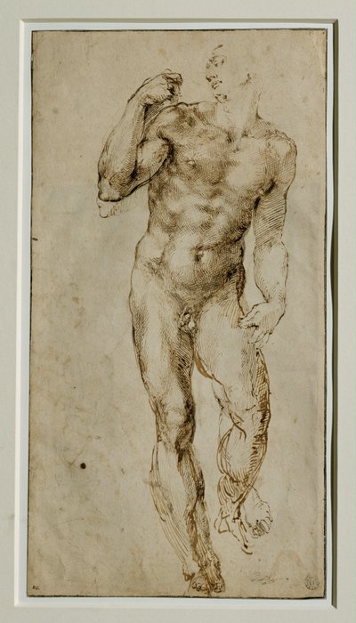 Erkek çıplak, önden görünüm, 1502-1506 civarı ... by Michelangelo Buonarroti