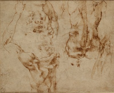 Çıplak Çalışmalar, c1490-1560 by Michelangelo Buonarroti