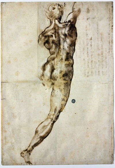 Arkadan çıplak, c. 1504 by Michelangelo Buonarroti