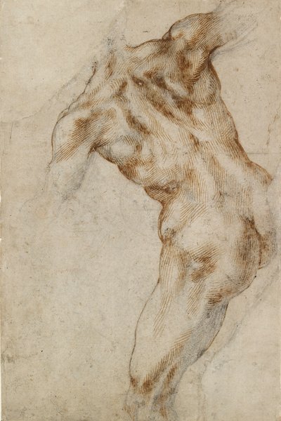 Çıplak erkek Gövde, 16. yüzyılın başlarında by Michelangelo Buonarroti