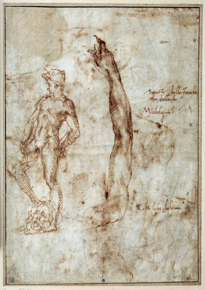Çıplak çalışma. Michelangelo Buonarroti dit Michelangelo (Michelangelo veya Michel Ange by Michelangelo Buonarroti