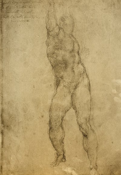 Çıplak çalışma, Michelangelo