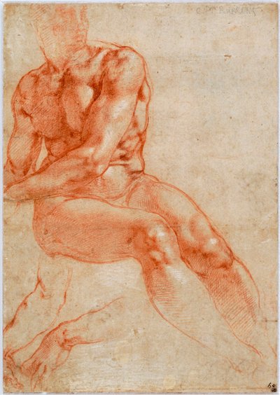 Oturan Genç Erkek Çıplak ve İki Kol Çalışmaları, yaklaşık 1510-1511 by Michelangelo Buonarroti
