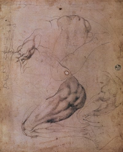 Sistine Şapeli Tavanı (1508-12): The Original Sin sahnesinden Havva figürünün eskizleri (kağıt üzerinde karakalem) by Michelangelo Buonarroti
