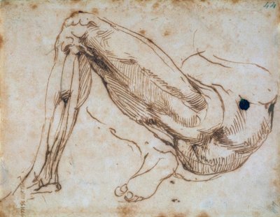 Bacak çalışması by Michelangelo Buonarroti