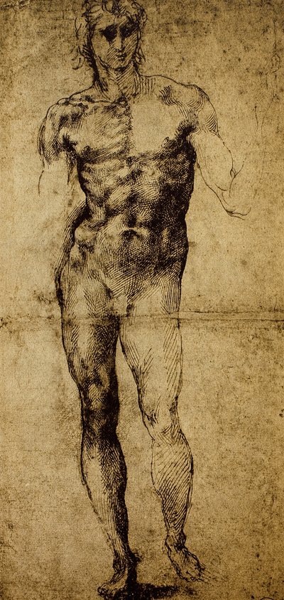 Çıplak bir erkek için çalışma, Michelangelo Buonarroti (1475-1564), çizim, Paris, Louvre Müzesi by Michelangelo Buonarroti