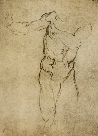 Michelangelo tarafından çizilen erkeksi bir büst için çalışma. Casa Buonarroti, Floransa by Michelangelo Buonarroti