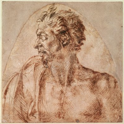 Baş ve Omuz Çalışması (kağıt üzerine mürekkep) by Michelangelo Buonarroti