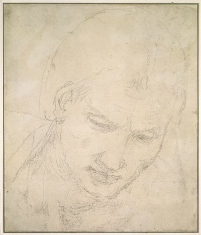 Bir Kafa Çalışması (beyaz kağıt üzerine siyah tebeşir) by Michelangelo Buonarroti