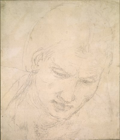 Bir Kafa Çalışması, c1490-1560 by Michelangelo Buonarroti