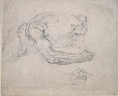 Yerden Yükselen Bir Adamın İncelenmesi, 16. yüzyıl by Michelangelo Buonarroti