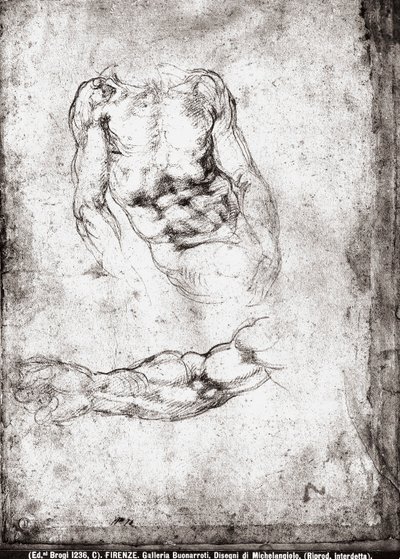 Bir erkek gövde ve kol çalışması by Michelangelo Buonarroti