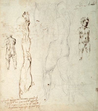 İsa Çocuğunun Çalışması ve Notlarla Bir Anatomik Çizim (kağıt üzerine siyah tebeşir ve kahverengi mürekkep) (ters) by Michelangelo Buonarroti
