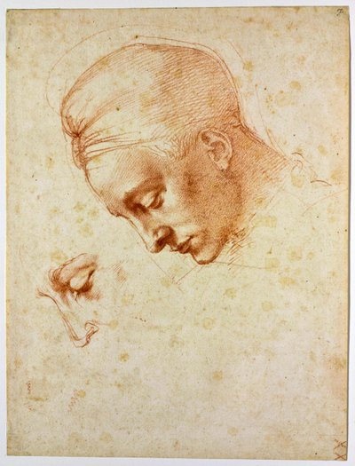 Leda