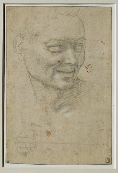  by Michelangelo Buonarroti