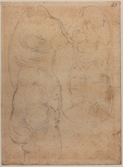 Antik bir Venüs üzerine iki çalışma by Michelangelo Buonarroti
